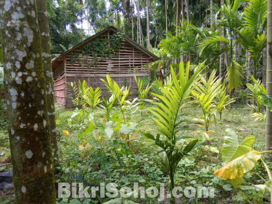 রোডের পাশে ৫ কাঠা জমি